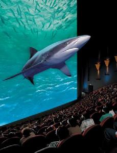 童言无忌 引来全场哄笑